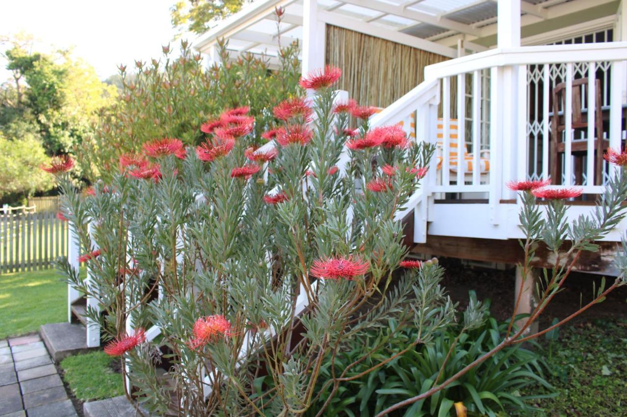 14 Mount Joy Hotel Knysna Buitenkant foto